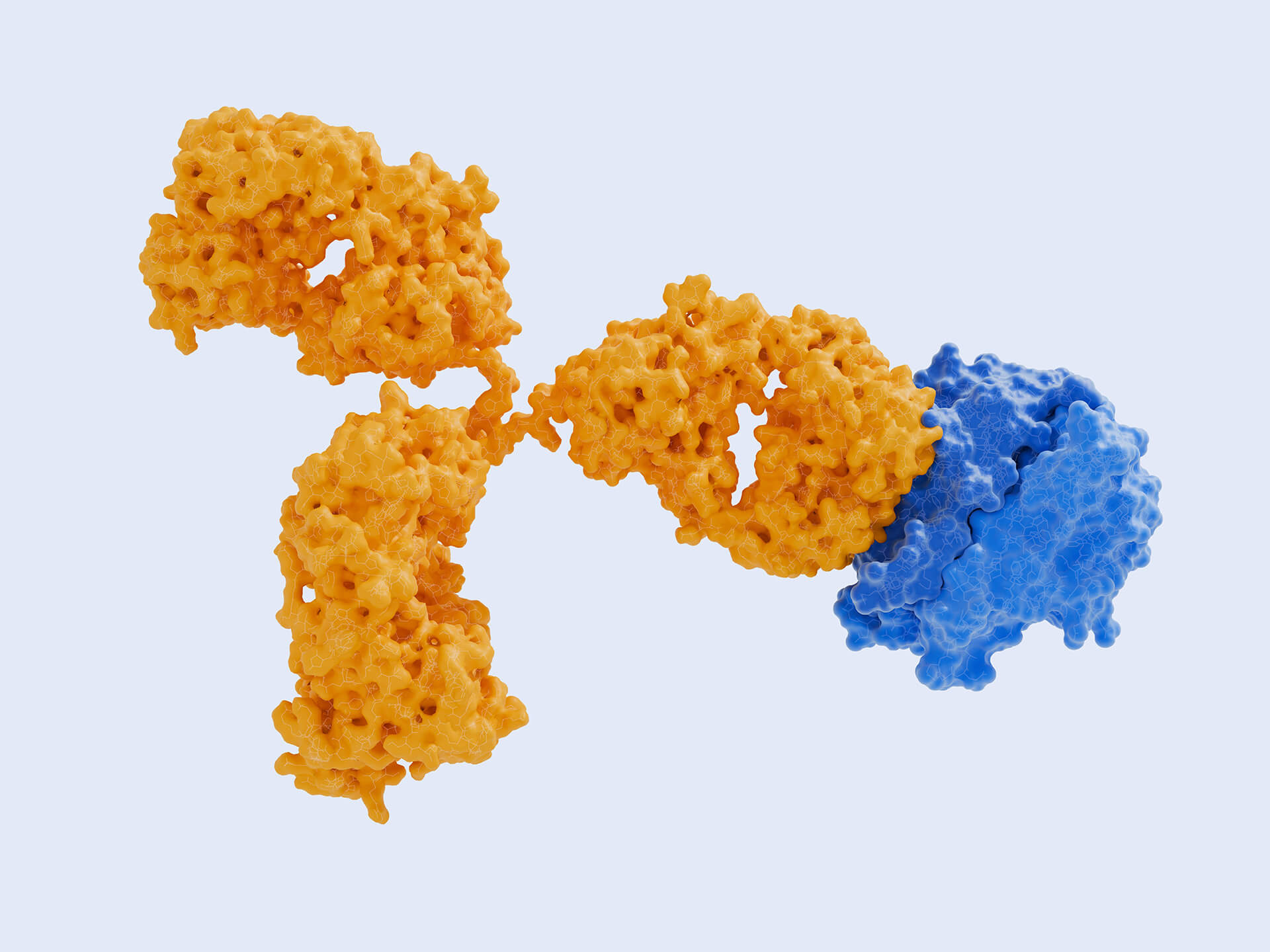 Anti-Biologic Drug Antibody Products (Creative Biolabs Authorized)