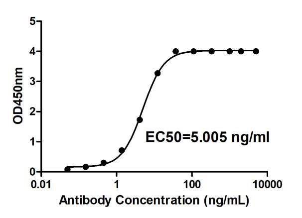 Fig.2 ELISA analysis of anti-4-1BB therapeutic antibody (TAB-179). (Creative Biolabs Original)