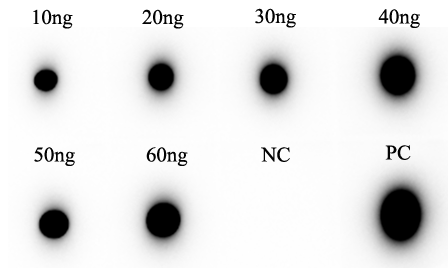 Fig.5 DB analysis of TAB-H23. (Creative Biolabs Original)