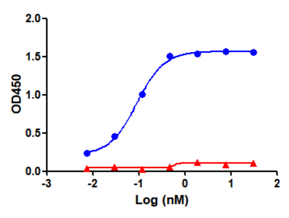 Fig.1 ELISA analysis of TAB-206MZ. (Creative Biolabs Original)