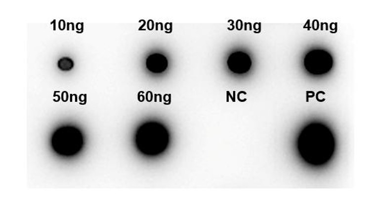 Fig.5 DB analysis. (Creative Biolabs Original)