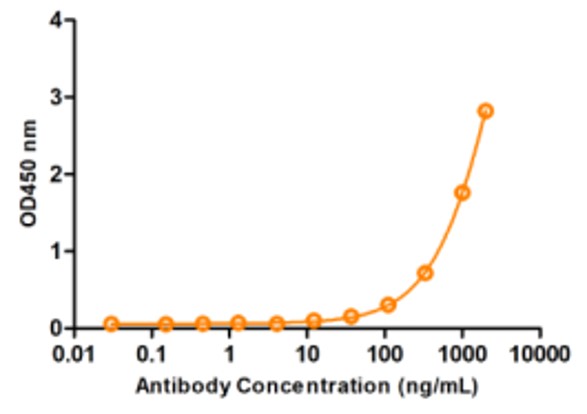 Fig.2 ELISA analysis. (Creative Biolabs Original)