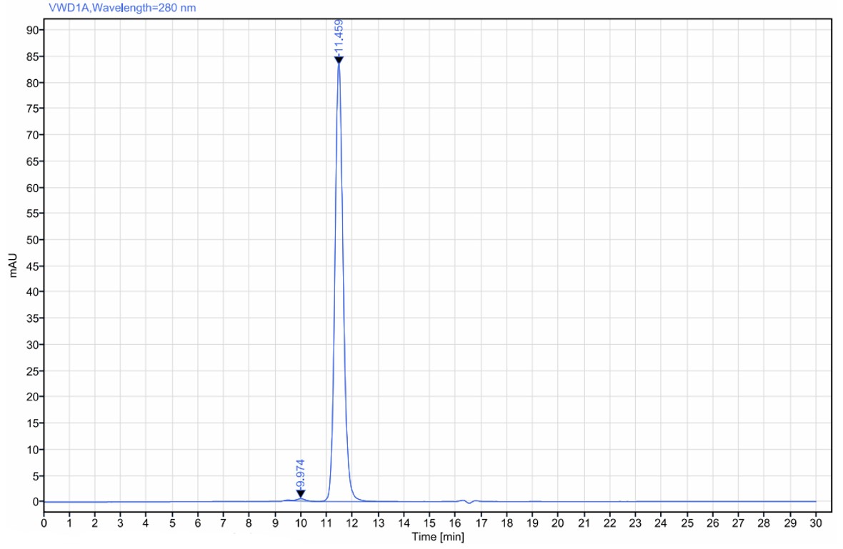 Fig.6 SEC-HPLC analysis. (Creative Biolabs Original)