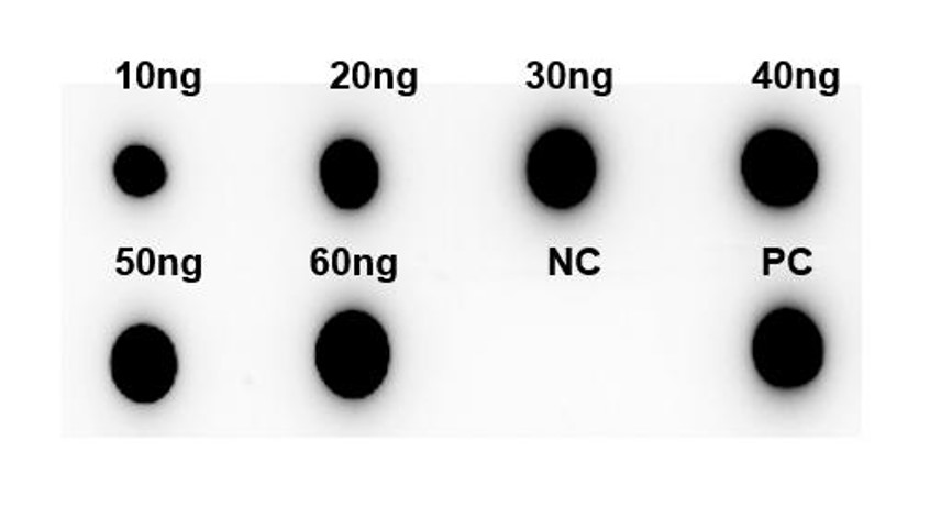 Fig.3 DB analysis. (Creative Biolabs Original)