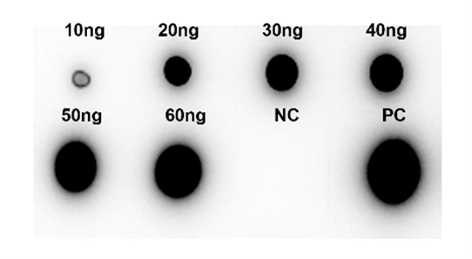 Fig.5 DB analysis. (Creative Biolabs Original)