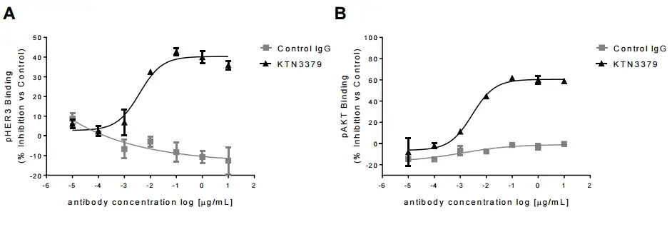 Fig.5 In vitro inhibitory activity assay. (Creative Biolabs Original)