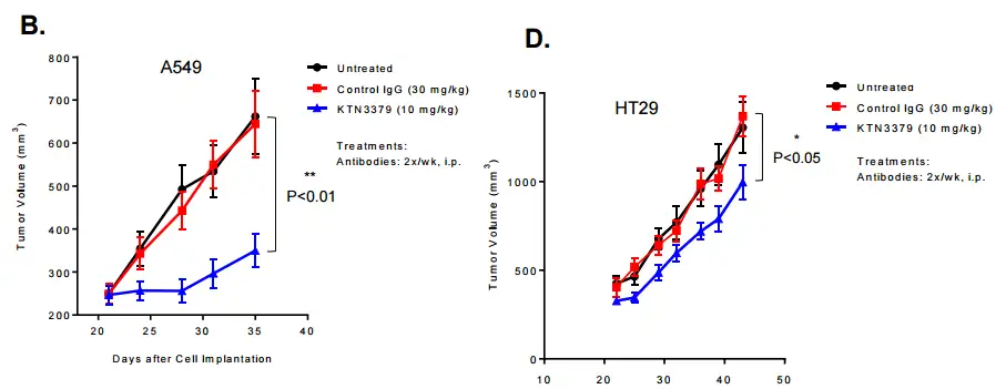 Fig.6 In vivo activity assay. (Creative Biolabs Original)