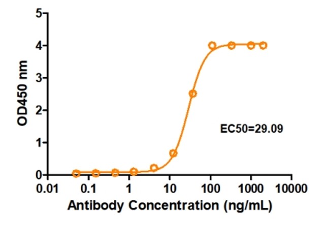 Fig.2 ELISA analysis. (Creative Biolabs Original)