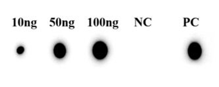 Fig.3 DB analysis. (Creative Biolabs Original)