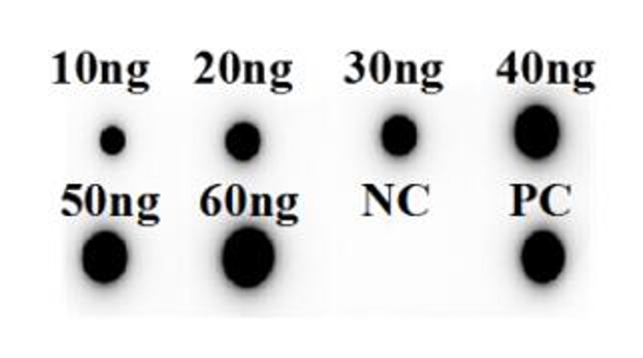 Fig.2 DB analysis. (Creative Biolabs Original)