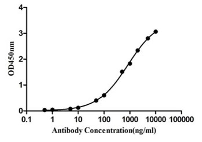 Fig.6 ELISA analysis. (Creative Biolabs Original)