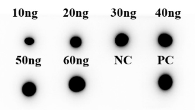 Fig.4 DB analysis. (Creative Biolabs Original)