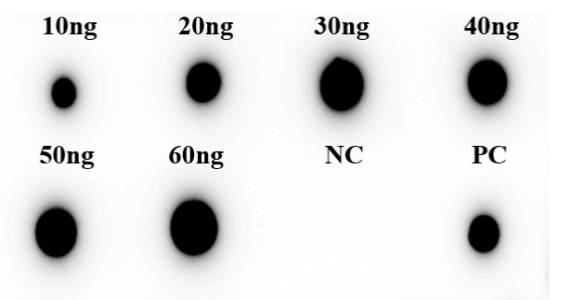 Fig.5 DB analysis of PABL-271. (Creative Biolabs Original)