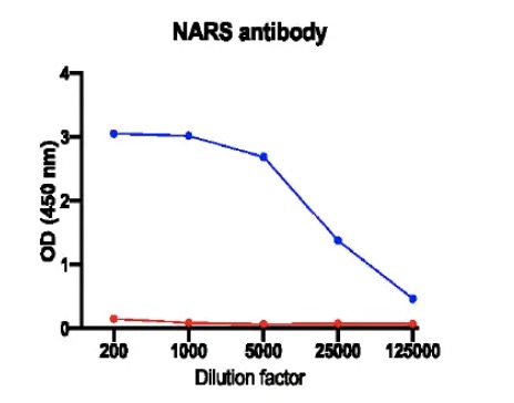 Fig.1 ELISA analysis. (Creative Biolabs Original)