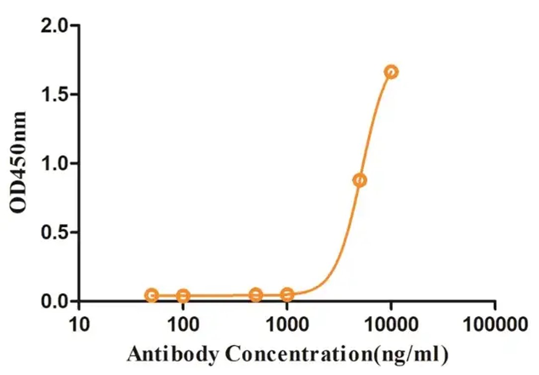Fig.4 ELISA analysis. (Creative Biolabs Original)
