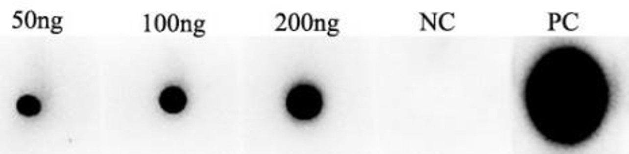 Fig.3 DB analysis. (Creative Biolabs Original)