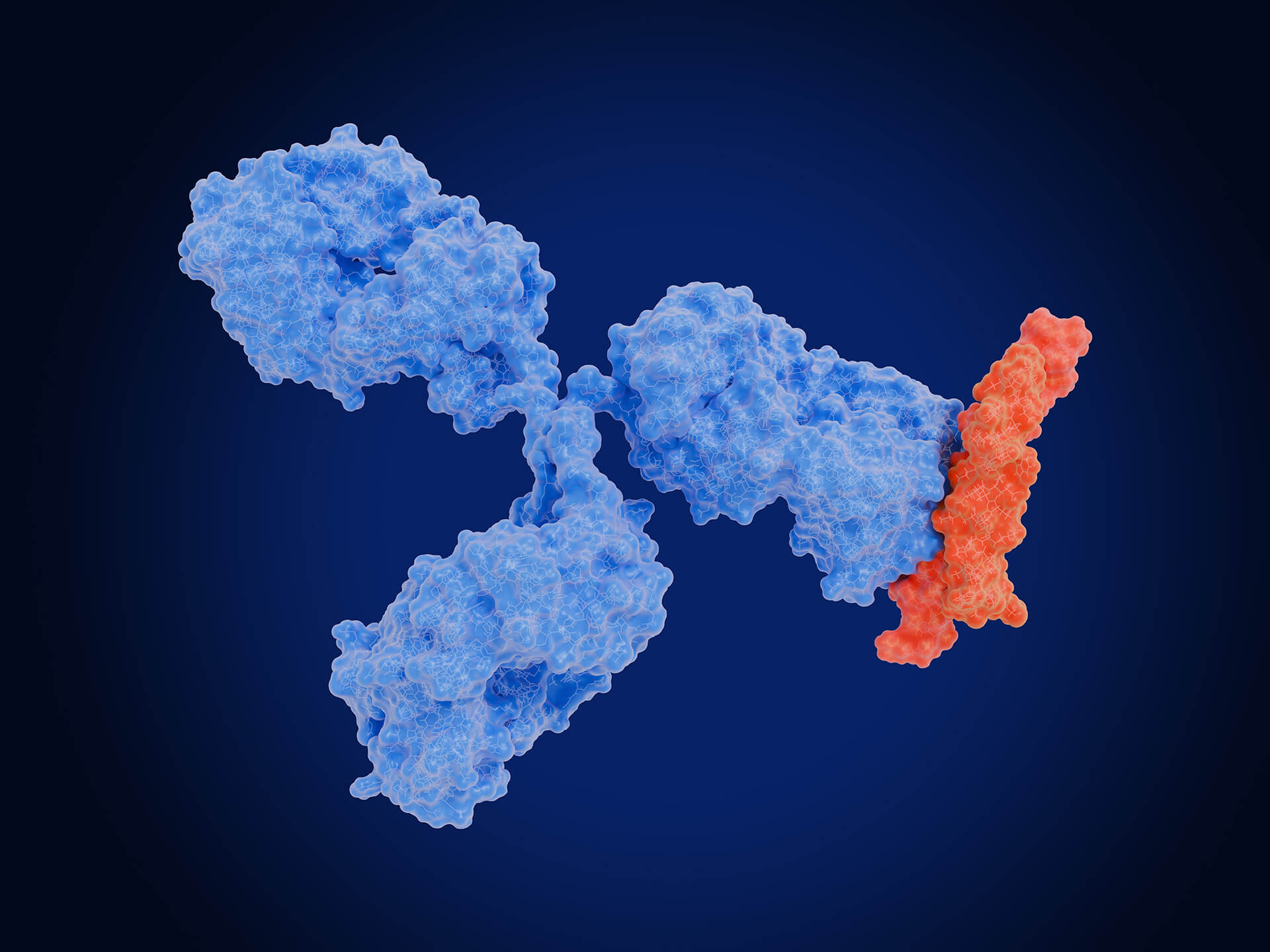 Anti-Small Molecule Drug Antibody Products (Creative Biolabs Authorized)