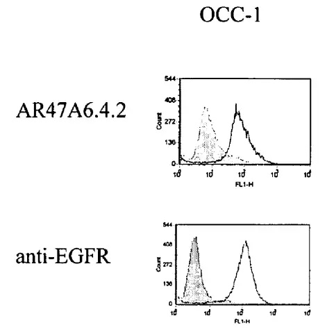 Fig.3 FACS analysis. (Creative Biolabs Original)