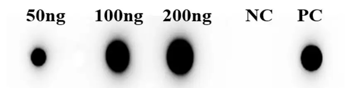 Fig.5 DB analysis. (Creative Biolabs Original)