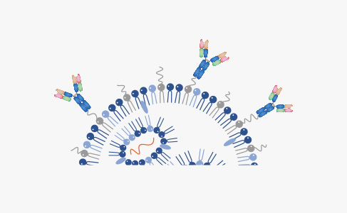 Antibody-Lipid Nanoparticle (LNP) Development Solutions