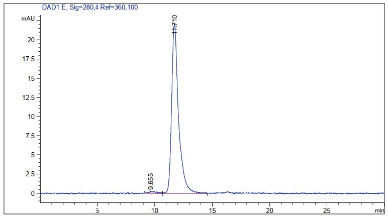 SDS-PAGE electrophoresis results showing the purity of the anti-PD-1 biosimilar (Creative Biolabs Original)