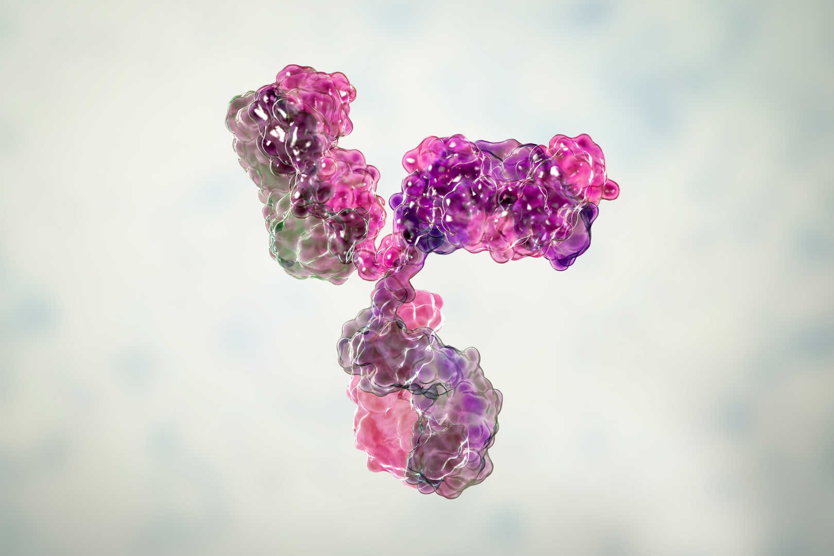 Antibody CDMO Solutions