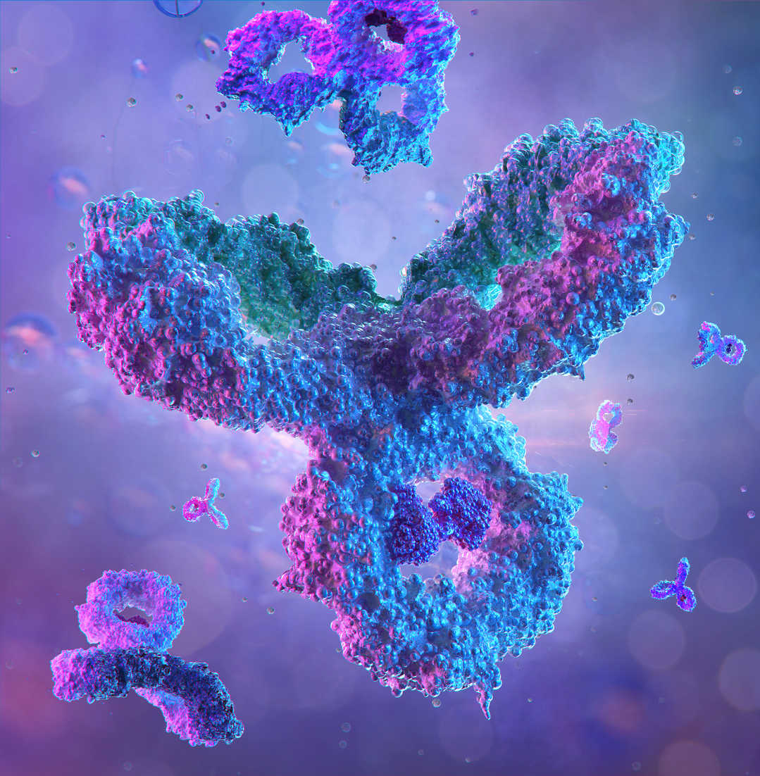 Monoclonal & Bispecific Antibodies