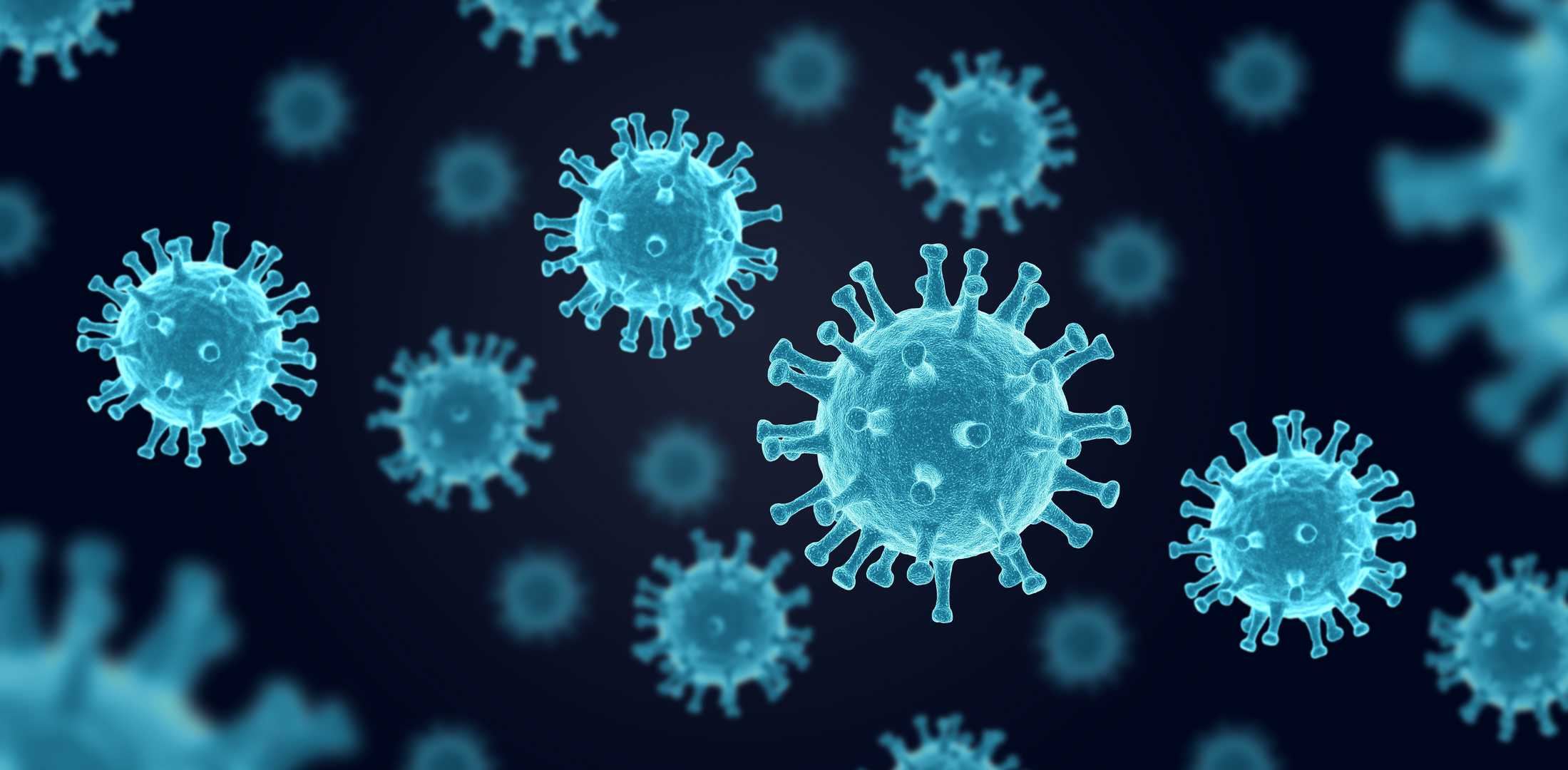 Plasmid design and preparation