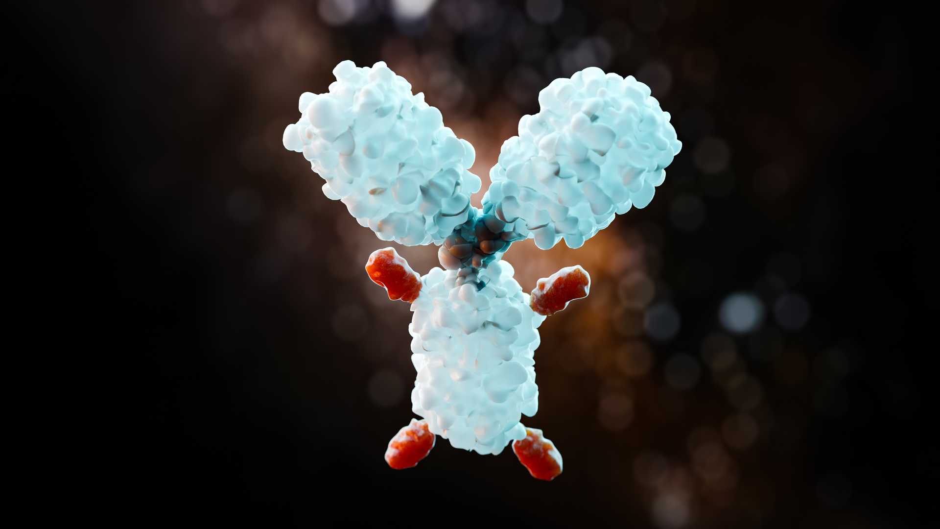 Antibody-Drug Conjugates (ADC)
