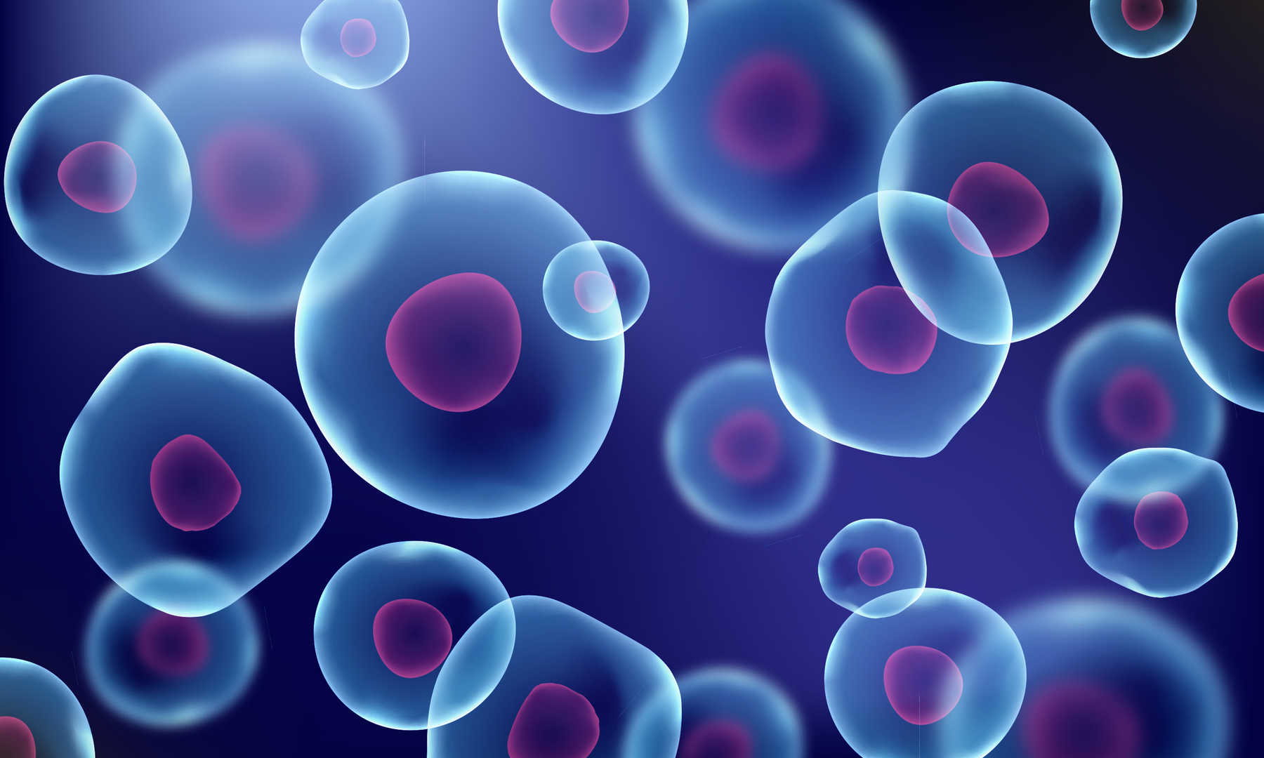 Bioreactors and suspension culture