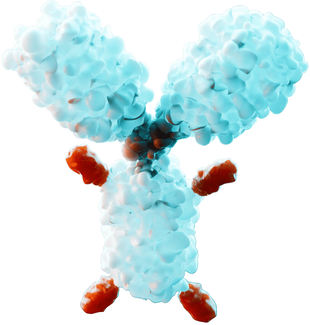 Antibody-Drug Conjugate Development