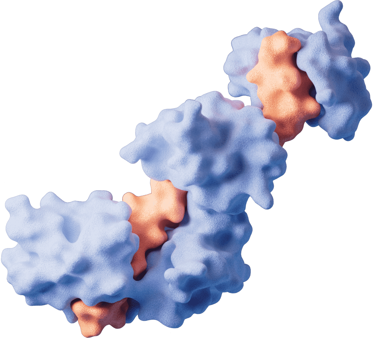 Recombinant Proteins and Enzymes