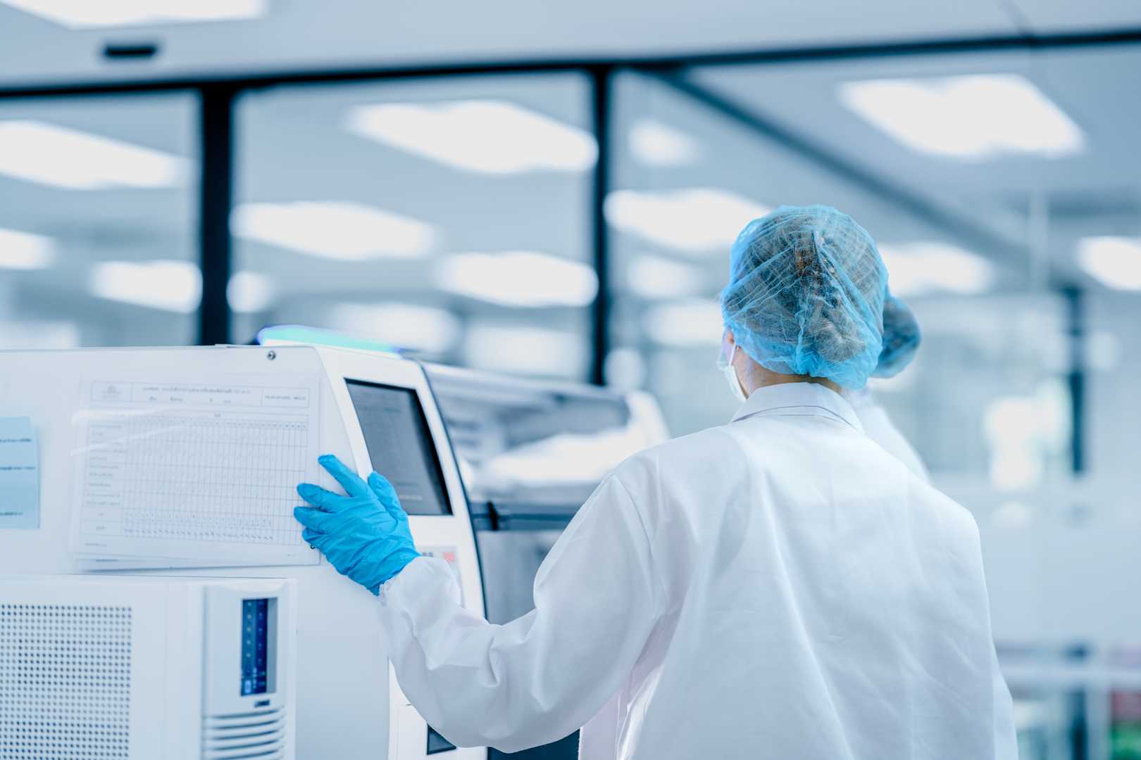 cGMP Master Cell Bank manufacturing