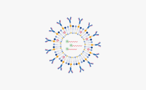 Custom Antibody-coupled Liposome Development Services