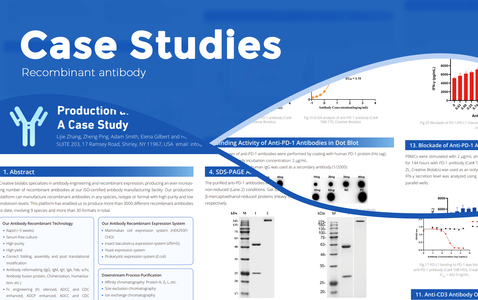 AI-Driven Antibody Discovery (Creative Biolabs Authorized)