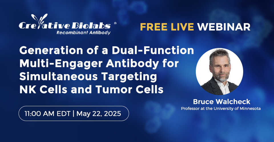 Generation of a dual-function multi-engager antibody for simultaneous targeting NK cells and tumor cells