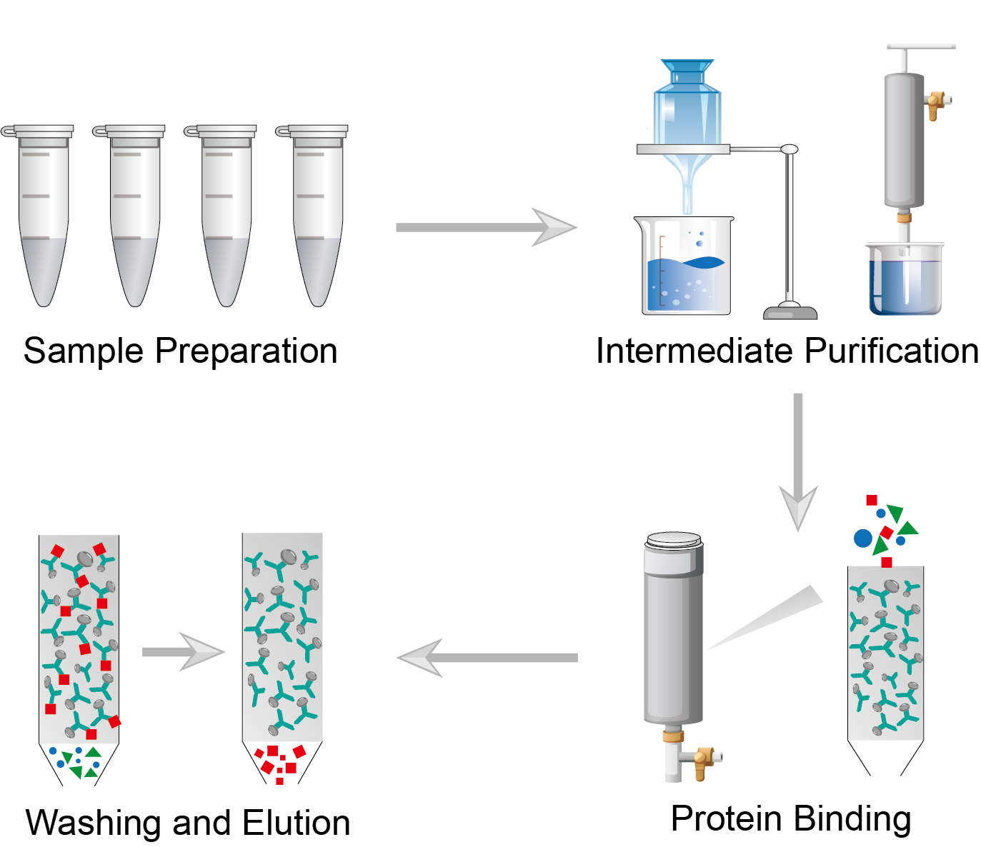 Protein Purification Procedure. (Creative Biolabs)