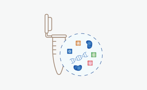 Recombinant Antibody Production Services in Cell-Free System