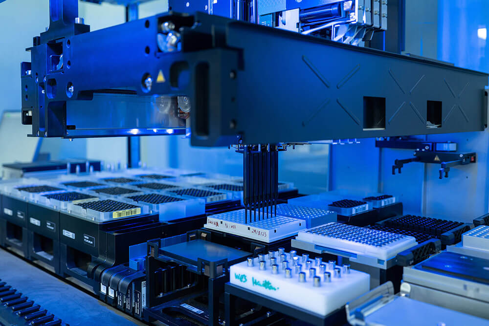 High-Throughput Antibody Production for Single B Cell Antibody Discovery (Creative Biolabs Authorized)