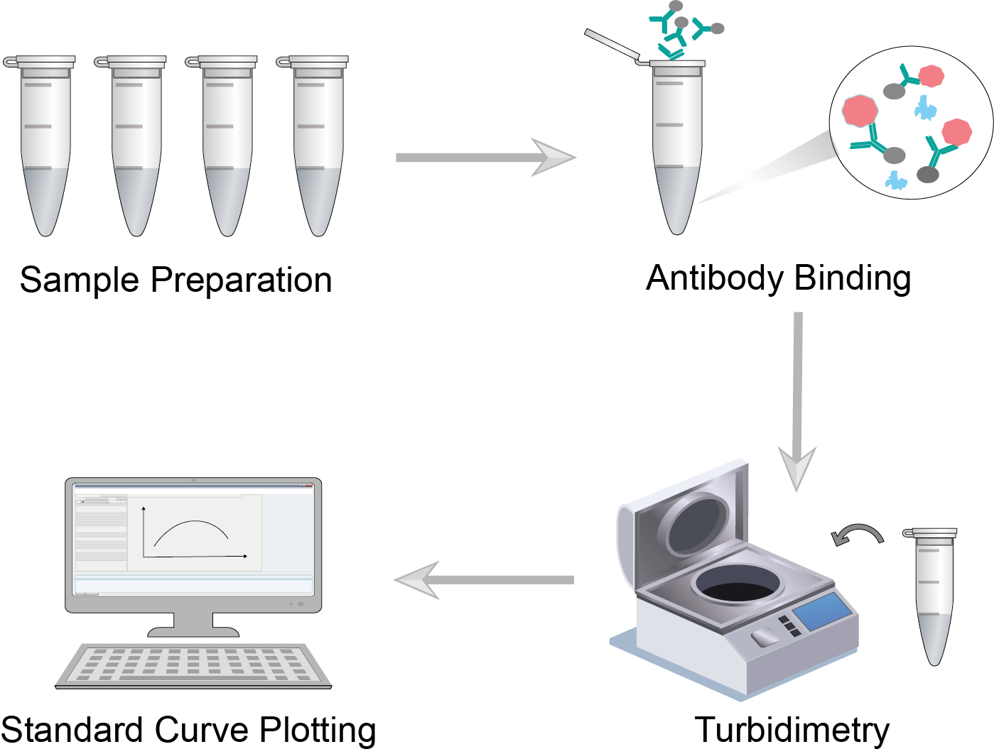 Turbidimetry Procedure. (Creative Biolabs)