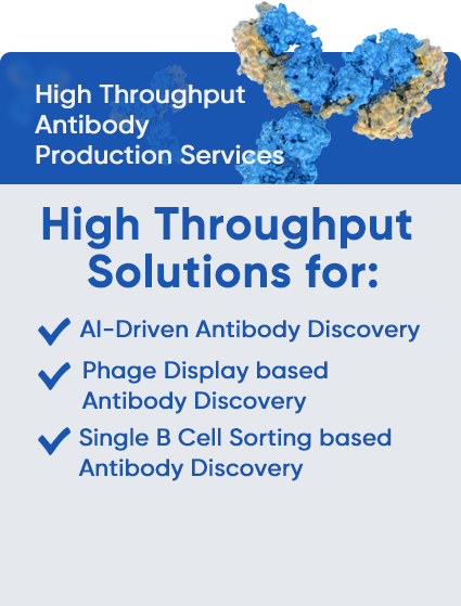 Antibody Biosimilar Development Service