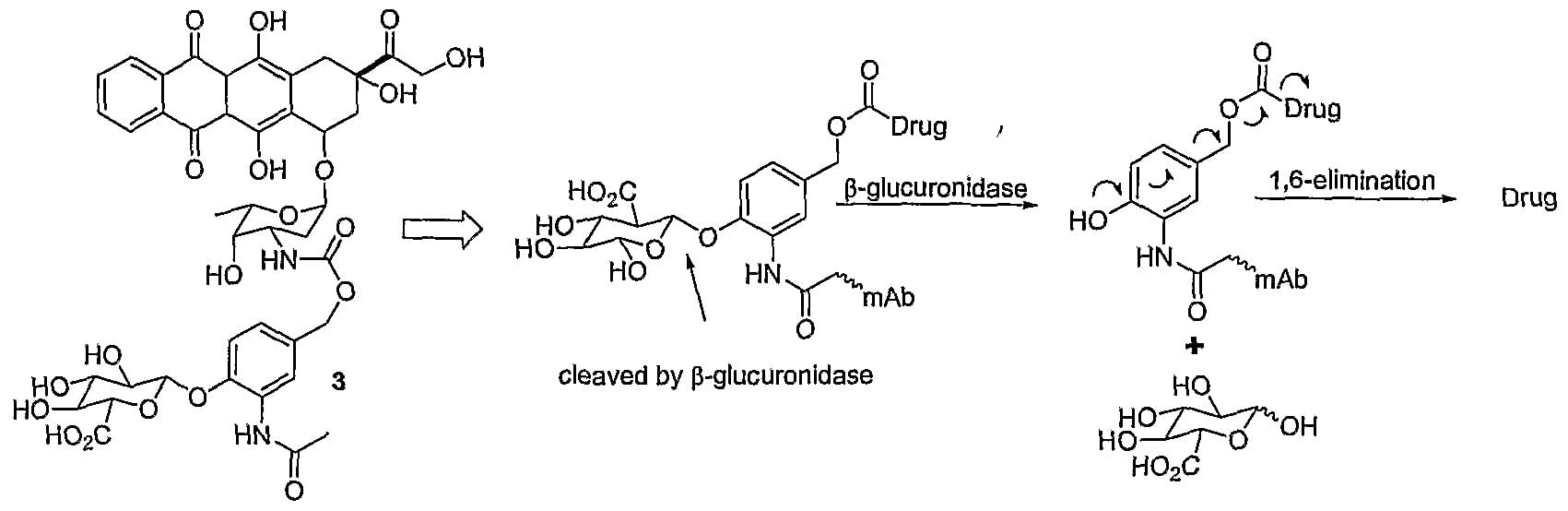 β-Glucuronide linkers